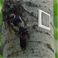 Building Smarter Connectivity