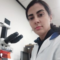 Mahsa Torabizadeh