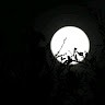 neel dev
