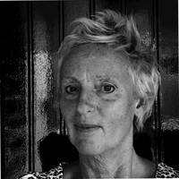 Anita Vollenbroek