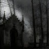 Martin H.