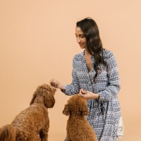 Priscilla Barletta