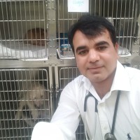 Abdul Asif, Luqman