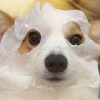 陈煜阳