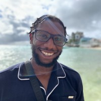 Nelson Adeosun