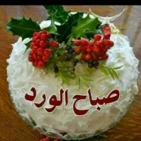 Bahaa Bebo