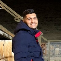 mohammad amin lashgari