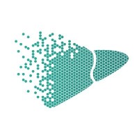 HepKiP Hepatology Knowledge into Practice