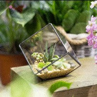 subha priyadharshini