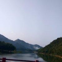 陈玲玲