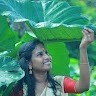 Salini Mohan