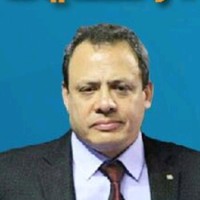 Ayman A H Farghaly