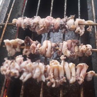 tako phoenix