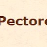 In Pectore
