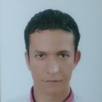 Mohamed Ahmed Abu-Sree