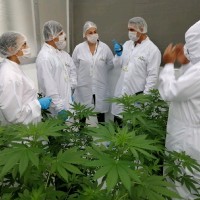 Paula andrea Betancur Sánchez