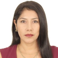 Hevelin Castro Sánchez