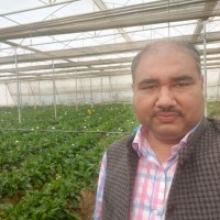 Vinay Tripathi