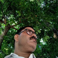 Swadesh pathak