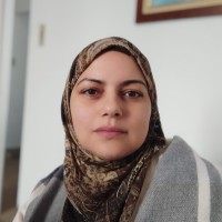 Jihene JARRAYA BORGI