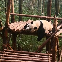 周柯屹