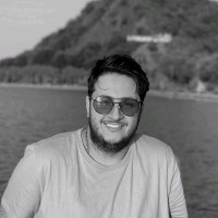 MohammadSaeed Zafari