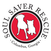 Soul Saver Rescue