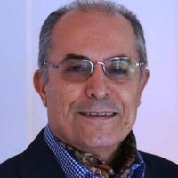 Bijan P. Gorji