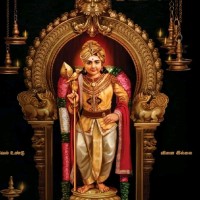 Dinesh Raj