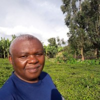 David Mulilo