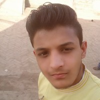 Anees Idrees