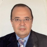 Sherif M. Ibrahim