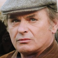 Jean-François Stevenin
