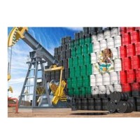 Dora Alicia Del Angel