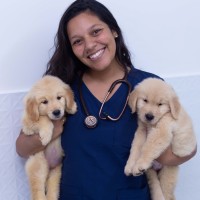 Lais Romano da Silva