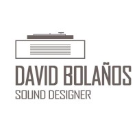 David Bolaños Gallardo