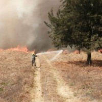 Jose Luis Peña Barbosa