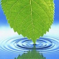 王春贺