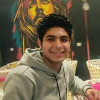 Mostafa Elmorshdi