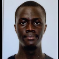 michael ogbechie