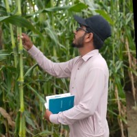 Muhammad Raza