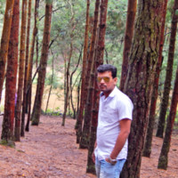 Prabhushankar S