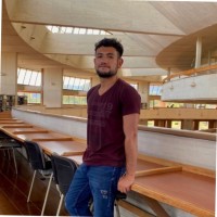 Cristhian David Sainea Buitrago