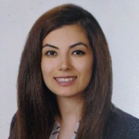 Nur Cihan Sarican