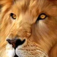 Proceso de Selección RRHH-Bucaramanga