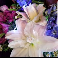 Four Seasons Florist