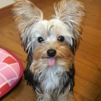 株式会社サトー山本亮一郎