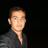 LUIS HENRIQUE P. JÚNIOR