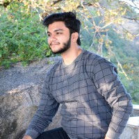 Dev Kaushik