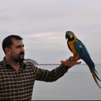 Ferhat Tutka